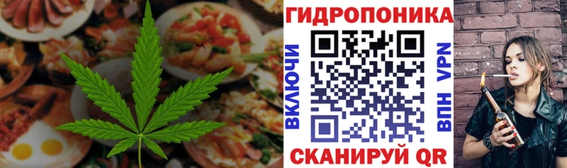 Canna-Cookies марихуана Купить закладки Нерюнгри