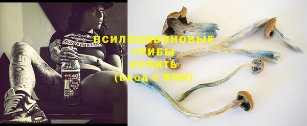 амф Карпинск