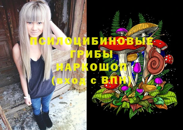 дмт Касимов