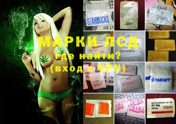 дмт Касимов