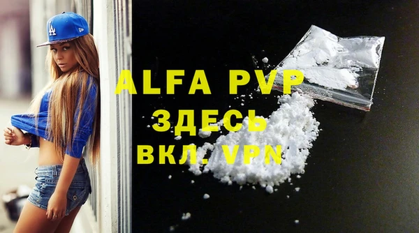 дмт Касимов