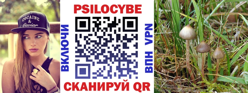 Псилоцибиновые грибы прущие грибы Купить закладки Нерюнгри